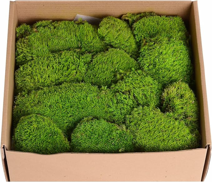 1.5 Sq. Ft. Preserved Moss Pole Decorative Moss for Crafts, Art, Wall Decor,Yellow Green Moss | Amazon (US)