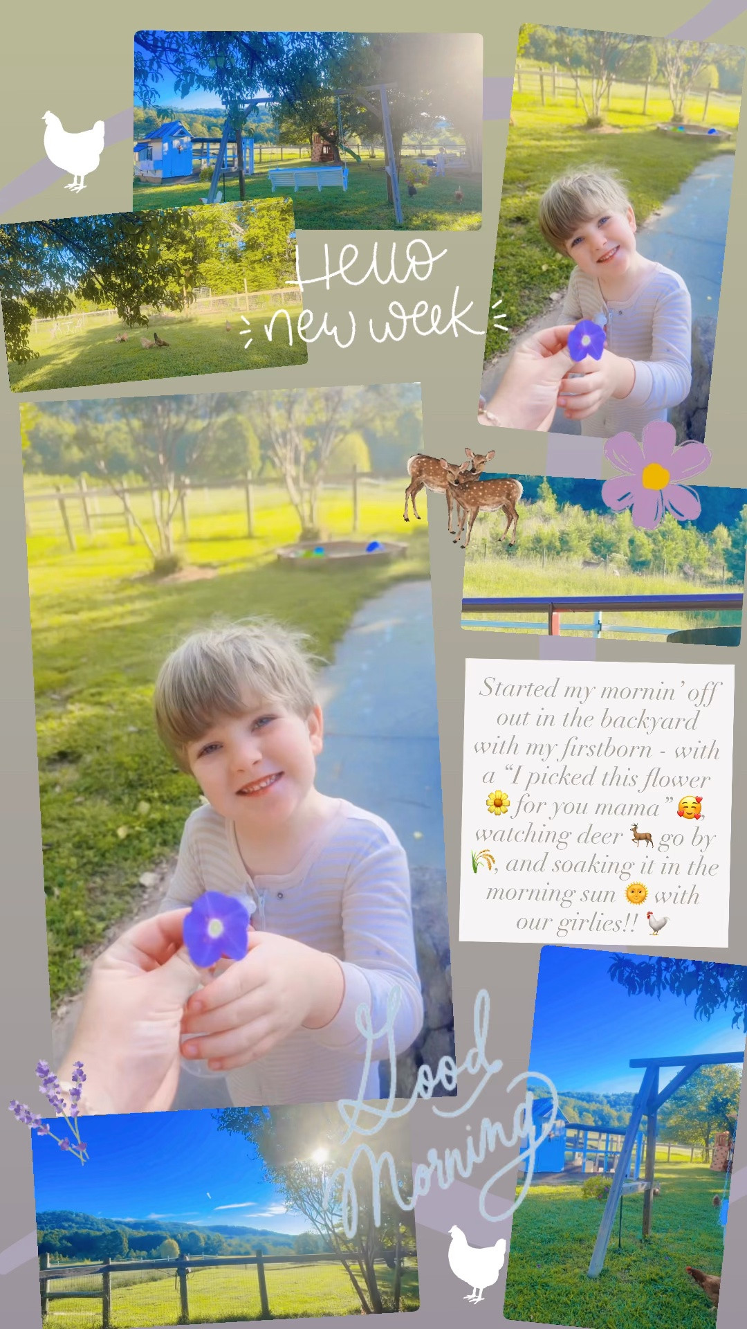 Started my mornin’ off out in the backyard with my firstborn - with a “I picked this flower 🌼 for you mama” 🥰, watching deer 🦌 go by 🌾, and soaking it in the morning sun 🌞 with our girlies!! 🐓