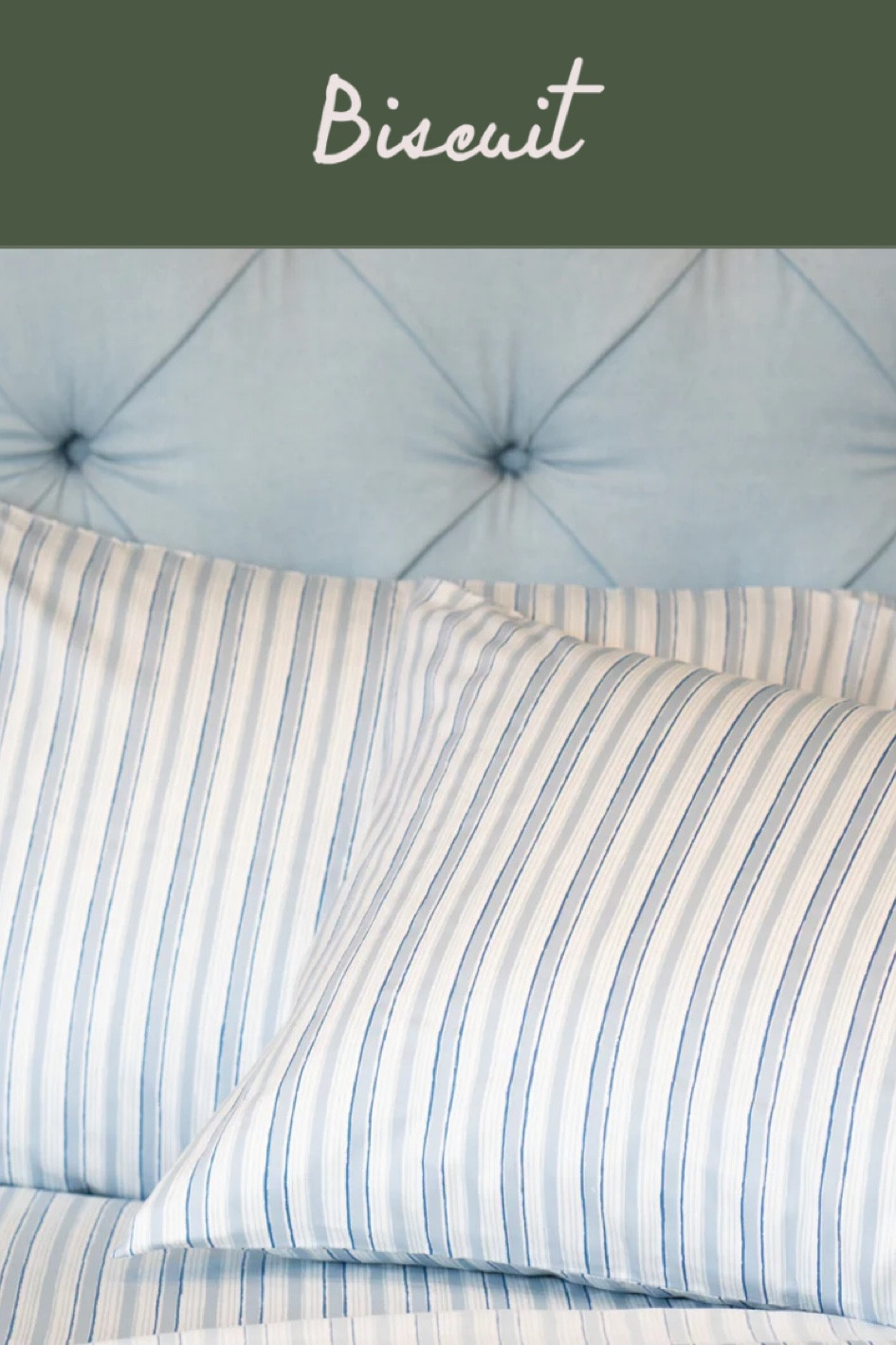 The perfect pretty stripe that isn’t too fussy with its freeform lines. The new Martha sheets by Biscuit Home.

#LTKHome