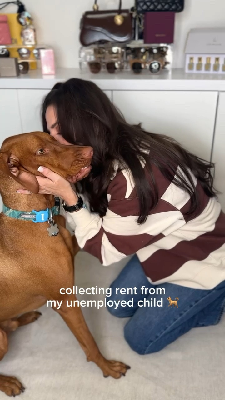 Living with a dog is basically like having the cutest unemployed roommate. They eat your snacks, steal your bed, and never pay rent 🏠🐾. But they give you unlimited love in return, and honestly, that’s priceless. 

#LTKPetite #LTKPets #LTKOver40