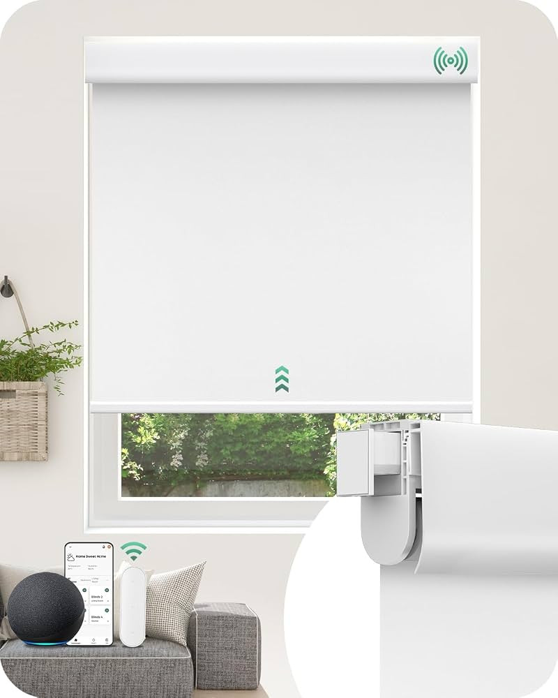 Allesin Motorized Blinds No Drill Automatic Roller Shades with Remote | Rental-Friendly & Easy In... | Amazon (US)