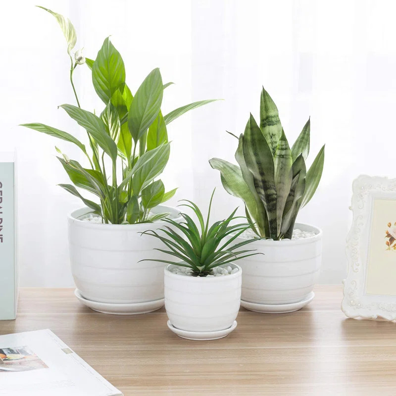 3 - Piece Ceramic Pot Planter Set | Wayfair North America