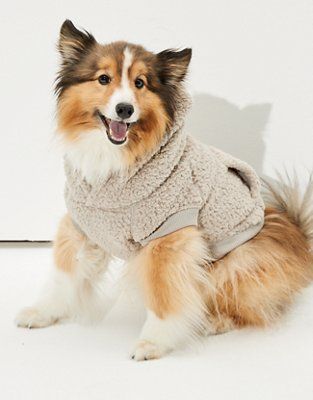 ABO Sherpa Doggy Hoodie | American Eagle Outfitters (US & CA)