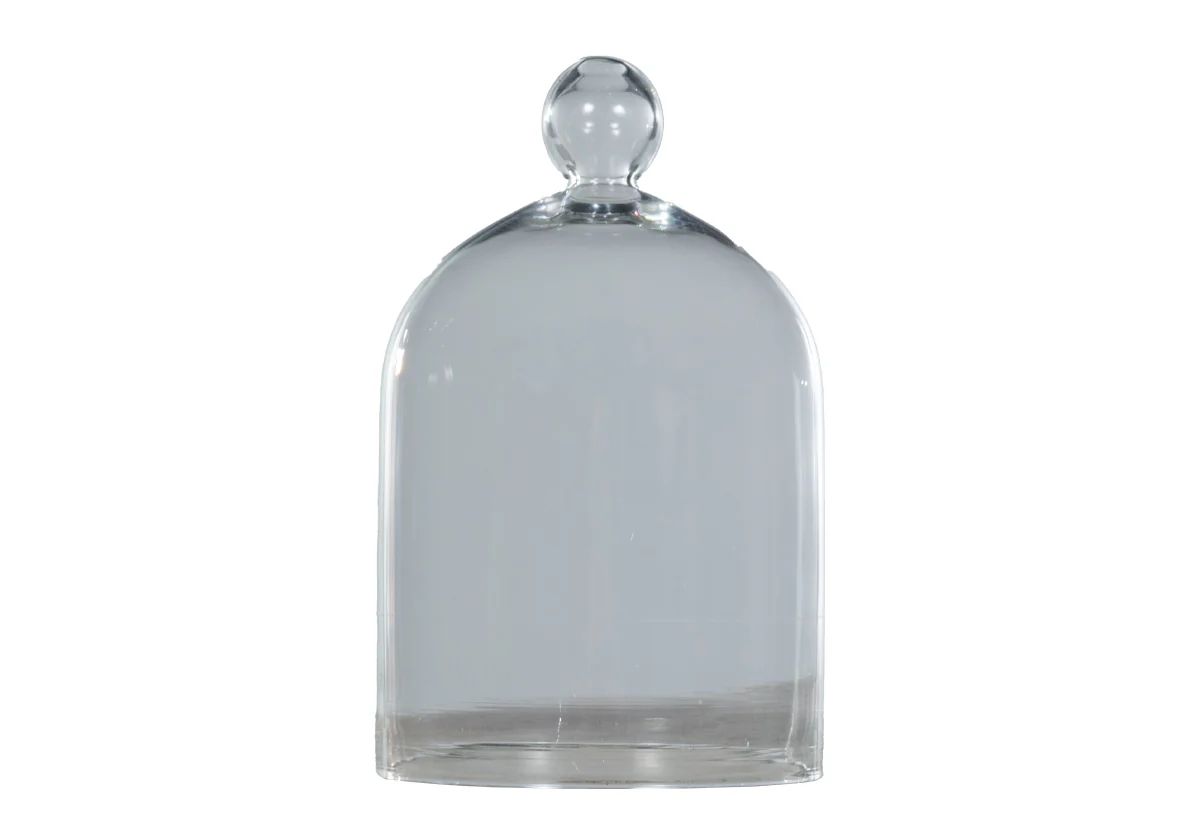 GLASS CLOCHE | Alice Lane Home Collection