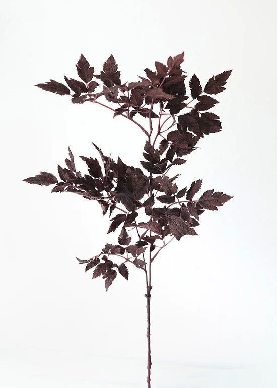 Plum Fake Cimicifuga Ramosa Leaves - 31 | Afloral (US)