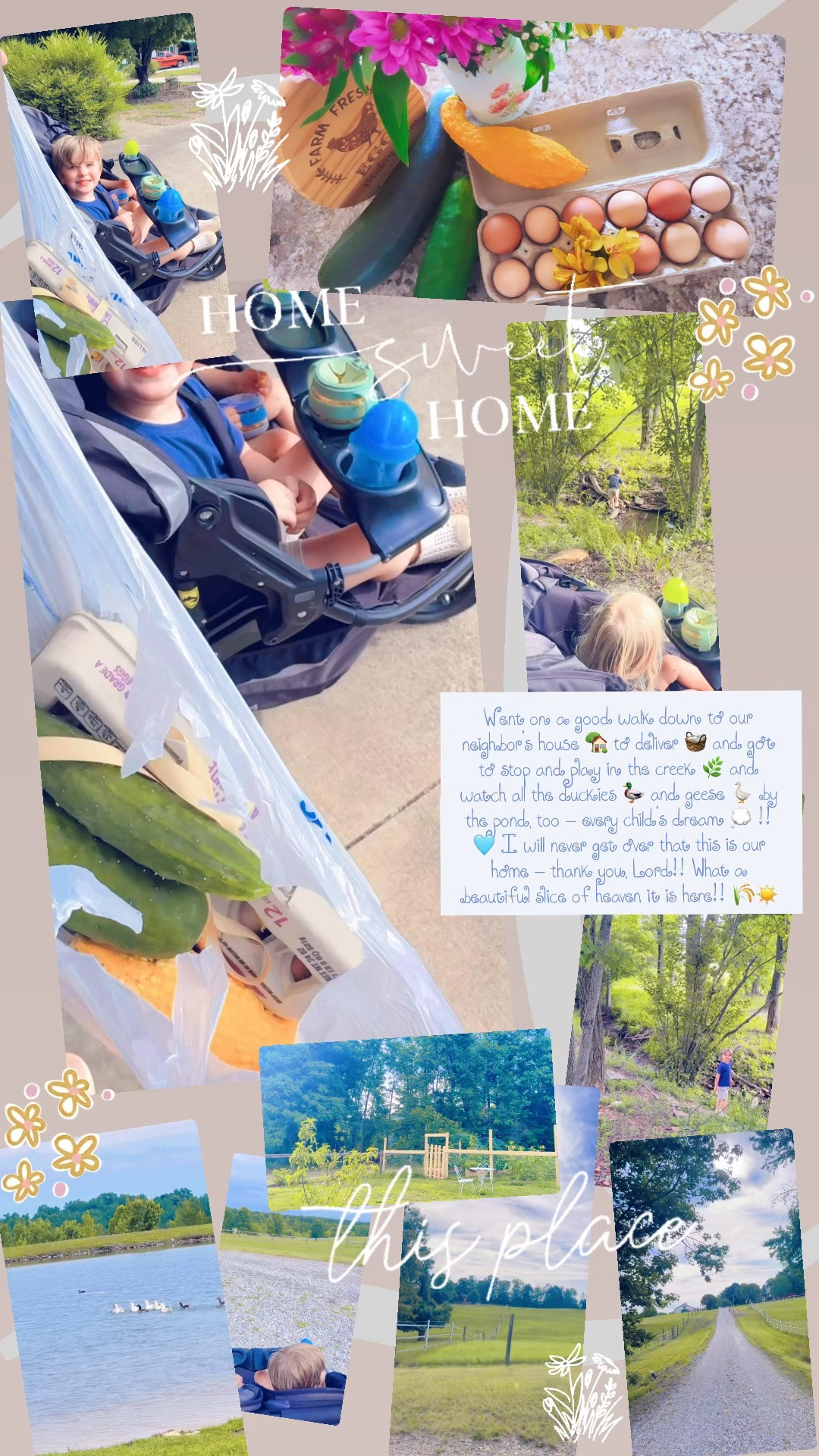 Went on a good walk down to our neighbor’s house 🏡 to deliver 🧺 and got to stop and play in the creek 🌿 and watch all the duckies 🦆 and geese 🪿 by the pond, too - every child’s dream 💭 !! 🩵 I will never get over that this is our home - thank you, Lord!! What a beautiful slice of heaven it is here!! 🌾☀️