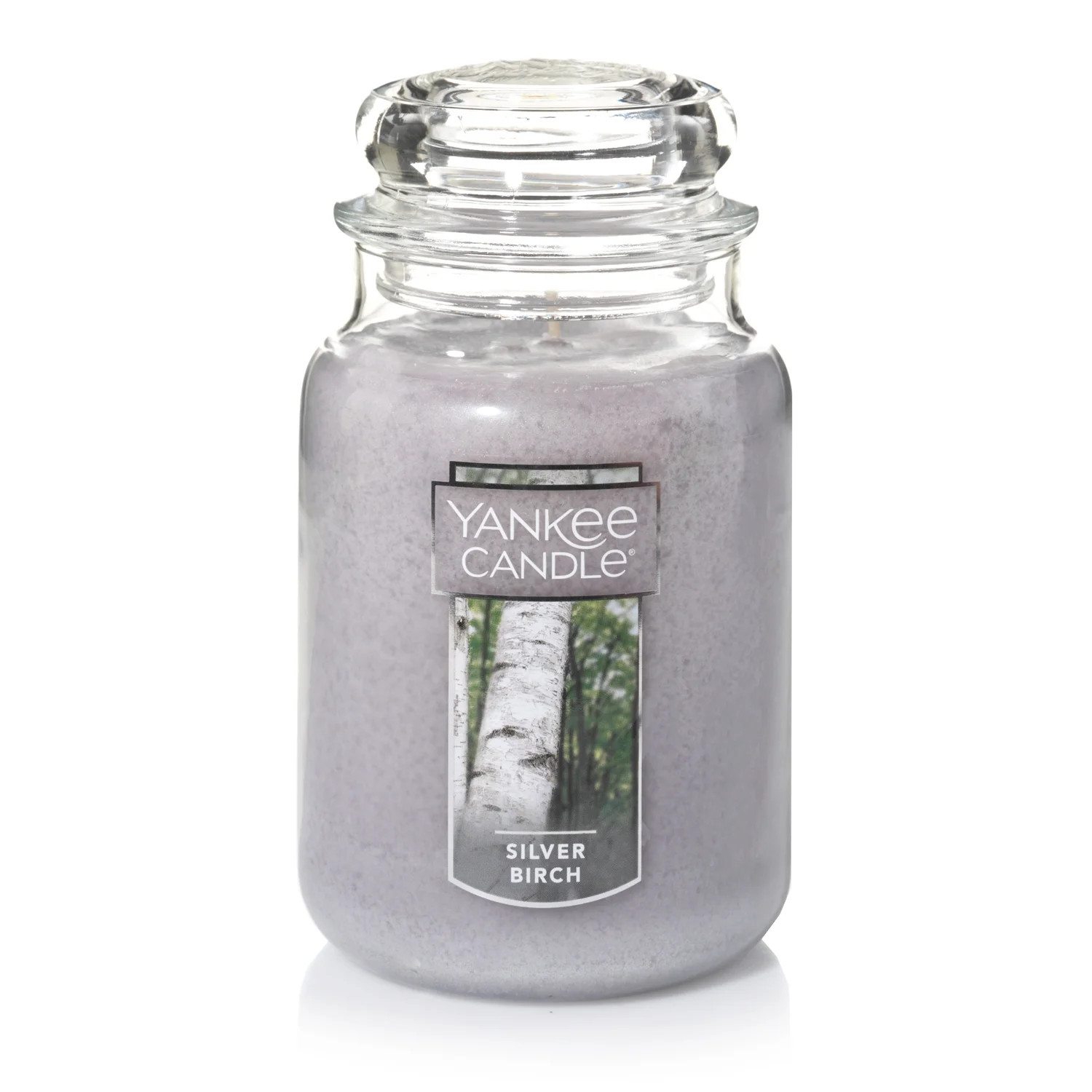 Yankee Candle Silver Birch - Original Large Jar Scented Candle - Walmart.com | Walmart (US)