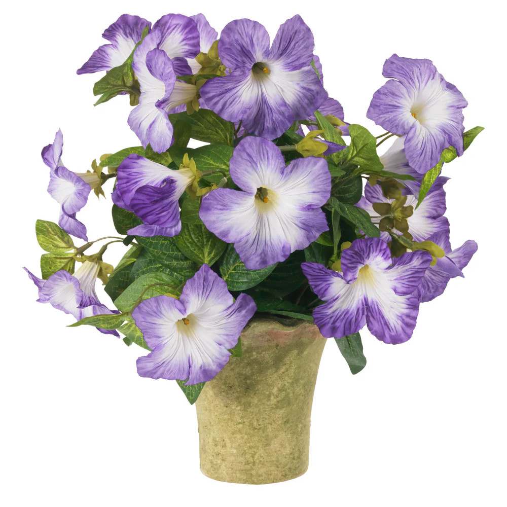 Act Natural | Diane James Home