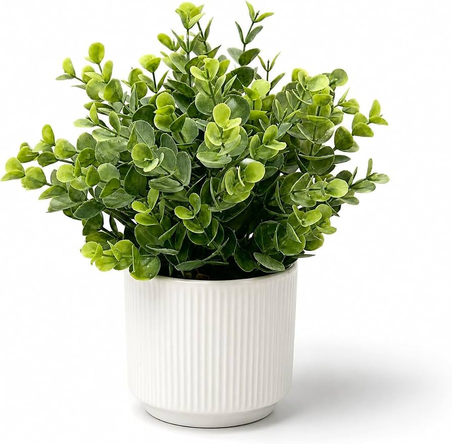 Small Artificial Eucalyptus Potted Plant, 9 in, Bathroom Decor | Amazon (US)