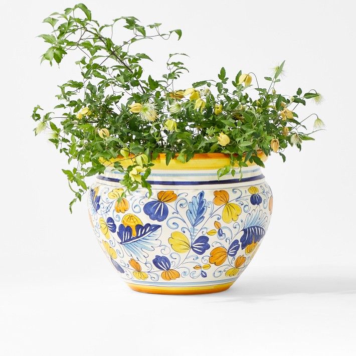 Italian Hand-Painted Planter Collection | Williams-Sonoma