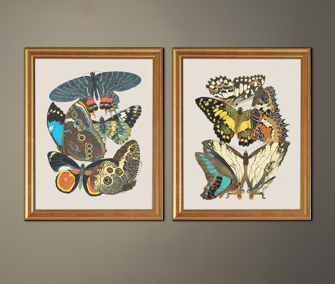 Vintage Butterfly Prints, Girls Room Art, Nature Art, Butterfly Art Prints, Teen Girl Art, Girls ... | Etsy (US)