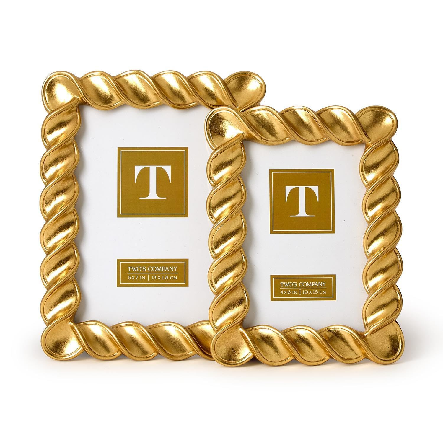 Two's Company Spiral Twist Gold Leaf Frames, 8.75-Inch, Resin, Set of 2 | Amazon (US)