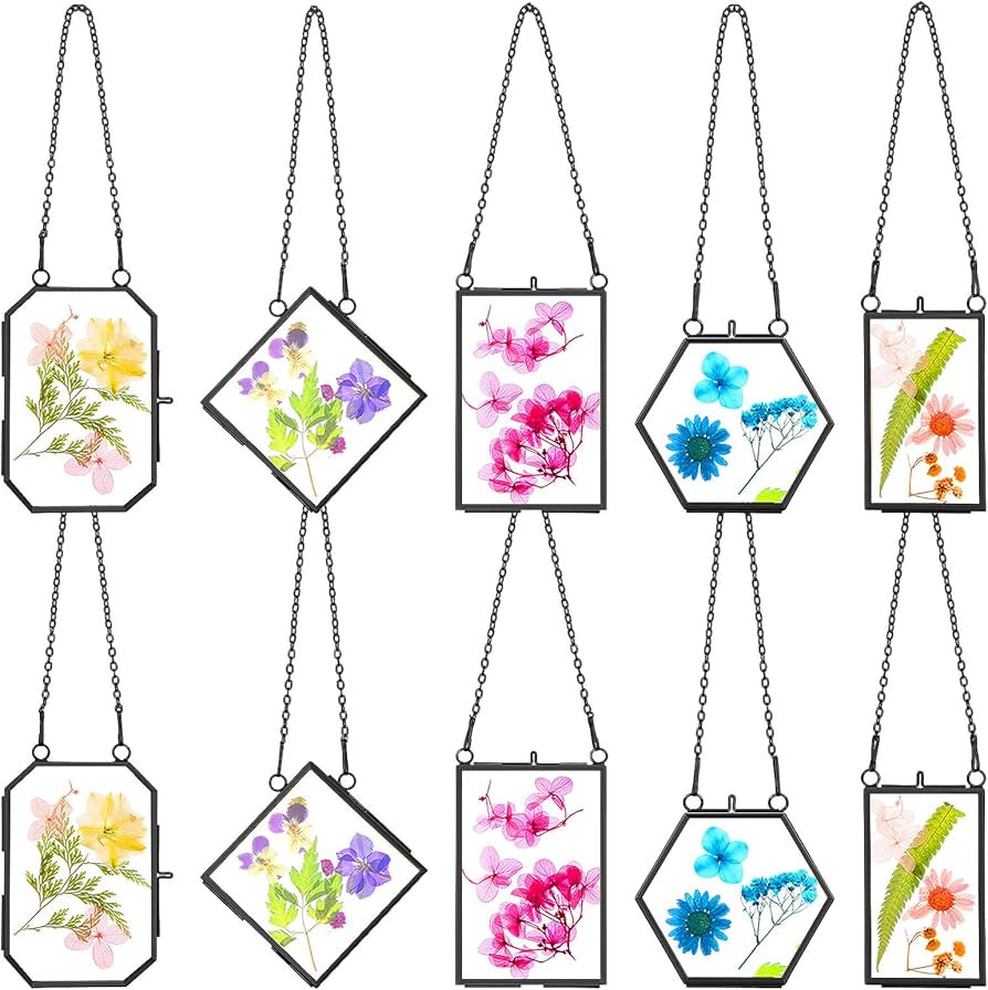 BBTO 10 Pcs Glass Frame for Pressed Flowers 5 Different Shapes Brass Hanging Picture Frame with C... | Amazon (US)