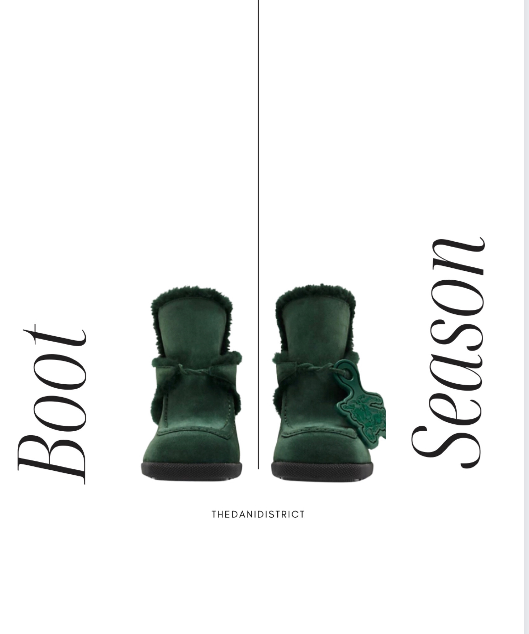 Fall Boots. 

#LTKshoecrush #LTKstyletip