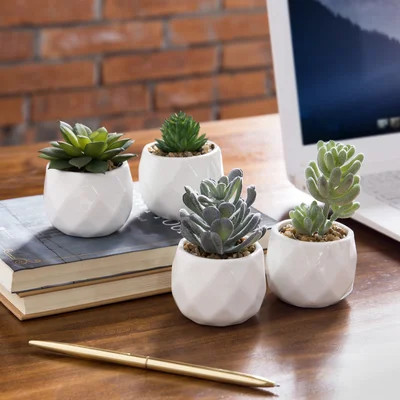 4 - Piece Artificial Succulent Plant in Pot | Wayfair North America