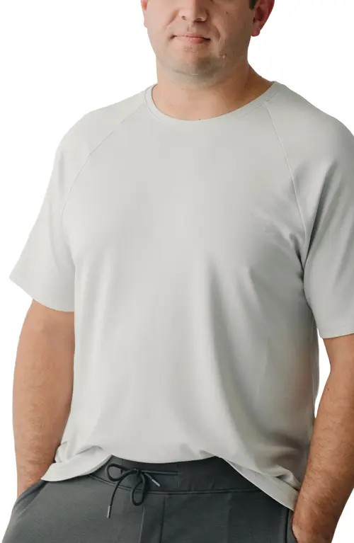 Cozy Earth Ultrasoft Raglan T-Shirt in Light Grey at Nordstrom, Size 3X-Large | Nordstrom