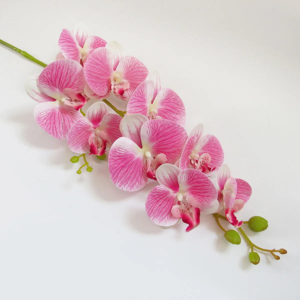 Orchid Arrangement (Set of 2) | Wayfair North America
