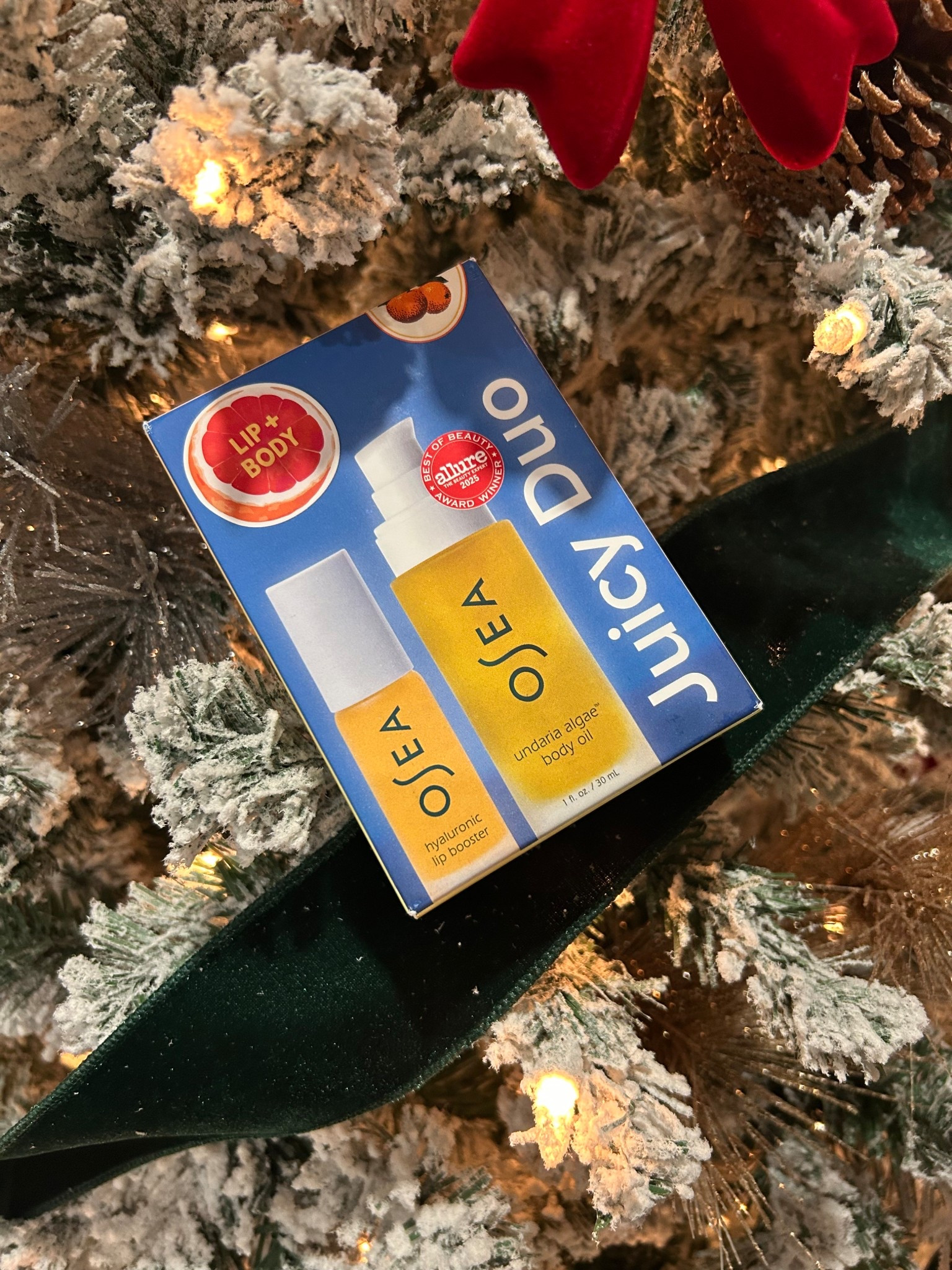 This Osea oil duo would make a great stocking stuffer gift for any girl! 

#LTKBeauty #LTKGiftGuide #LTKFindsUnder50