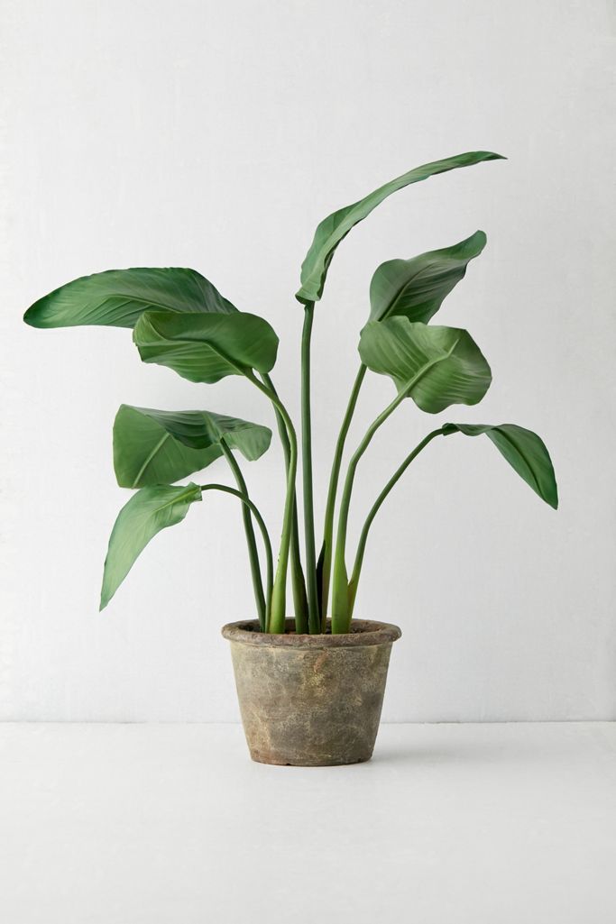 Bird Of Paradise Potted Faux Plant | Urban Outfitters (US and RoW)