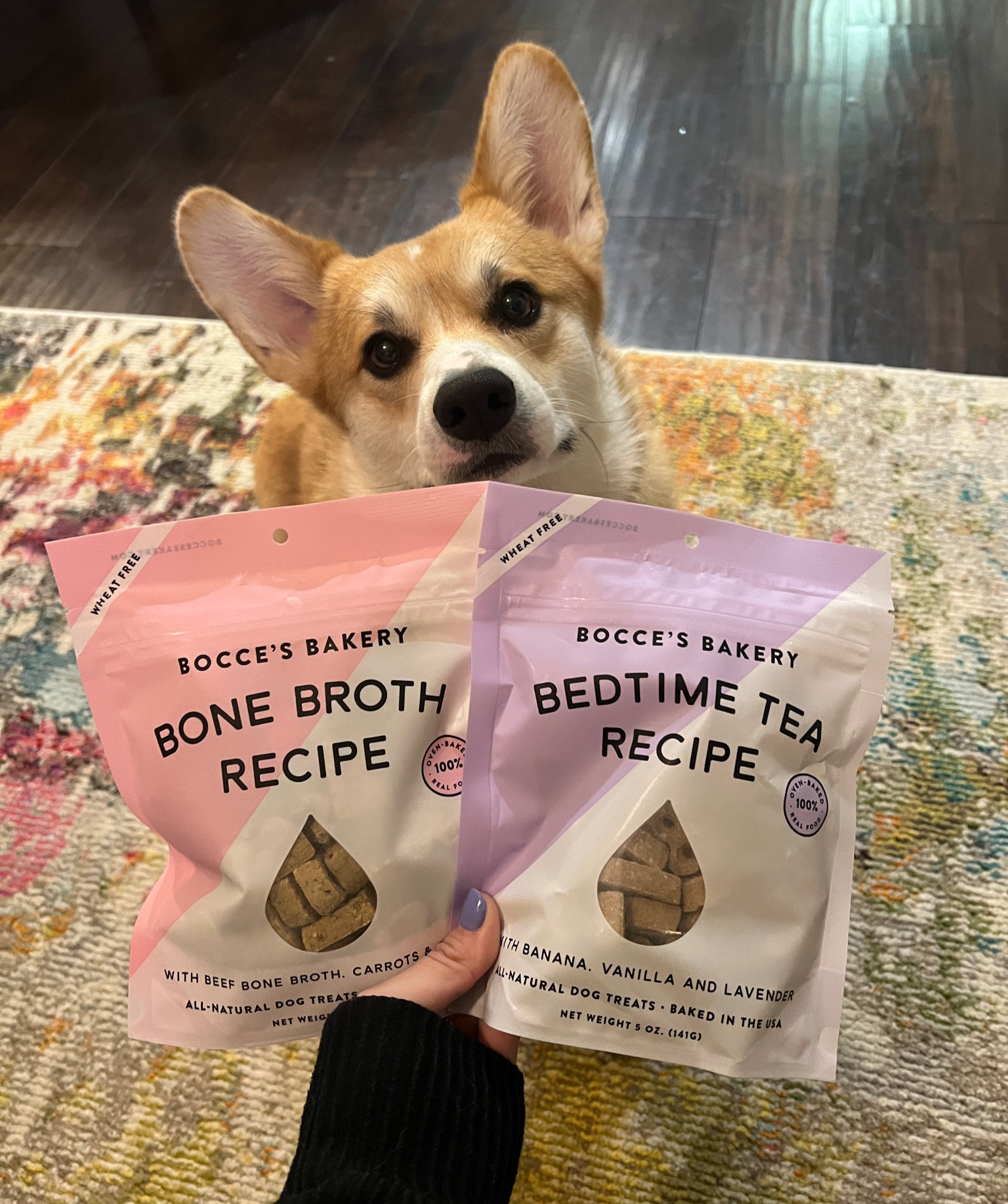 Calming dog treats for bed time💖

#LTKfindsunder50 #LTKGiftGuide #LTKfindsunder100