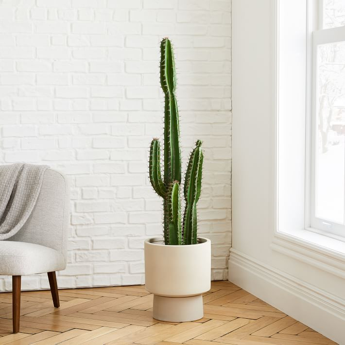 Faux Potted Cactus Plant & Large Bishop Planter Bundle | West Elm (US)
