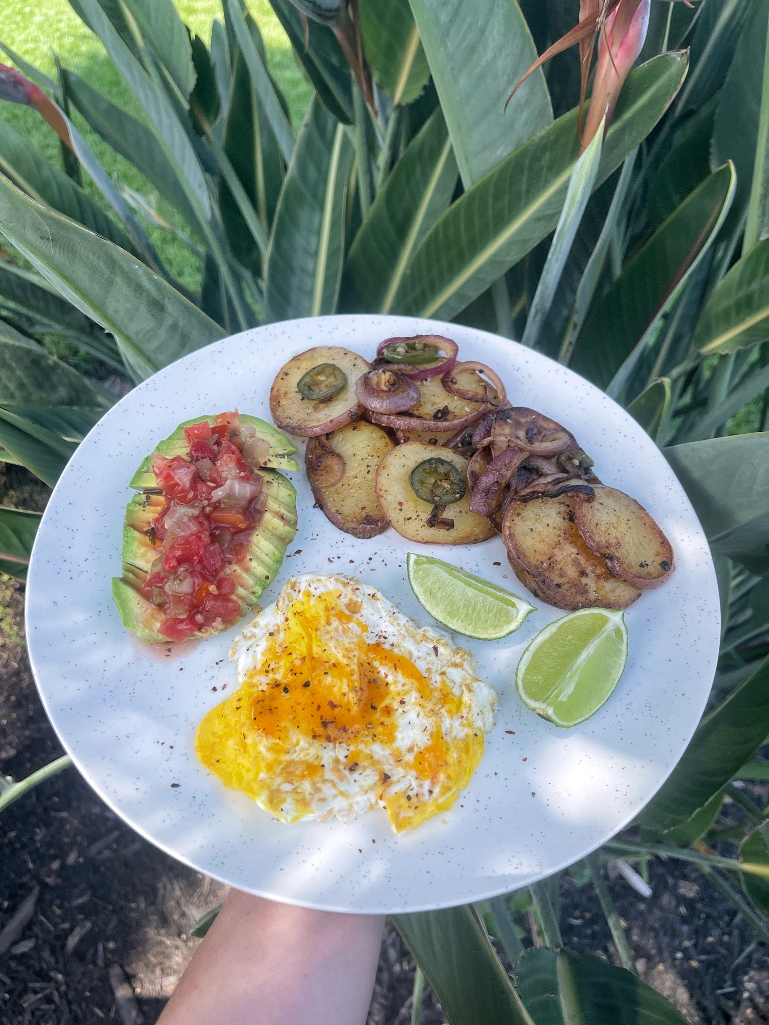 Looking for some breakfast inspo? Try a fried egg with melted cheddar, spicy sliced potatoes (red potatoes pan seared in olive oil, salt, cracked pepper, purple onions and jalapeños) and a hass avocado with salsa + lime 🍳🥔🥑

#LTKunder50 #LTKhome #LTKfamily
