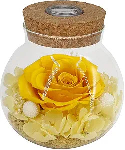 Preserved Real Roses with Colorful Mood Light Wishing Bottle,Eternal Rose，Never Withered Flower... | Amazon (US)