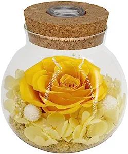 Preserved Real Roses with Colorful Mood Light Wishing Bottle,Eternal Rose，Never Withered Flower... | Amazon (US)
