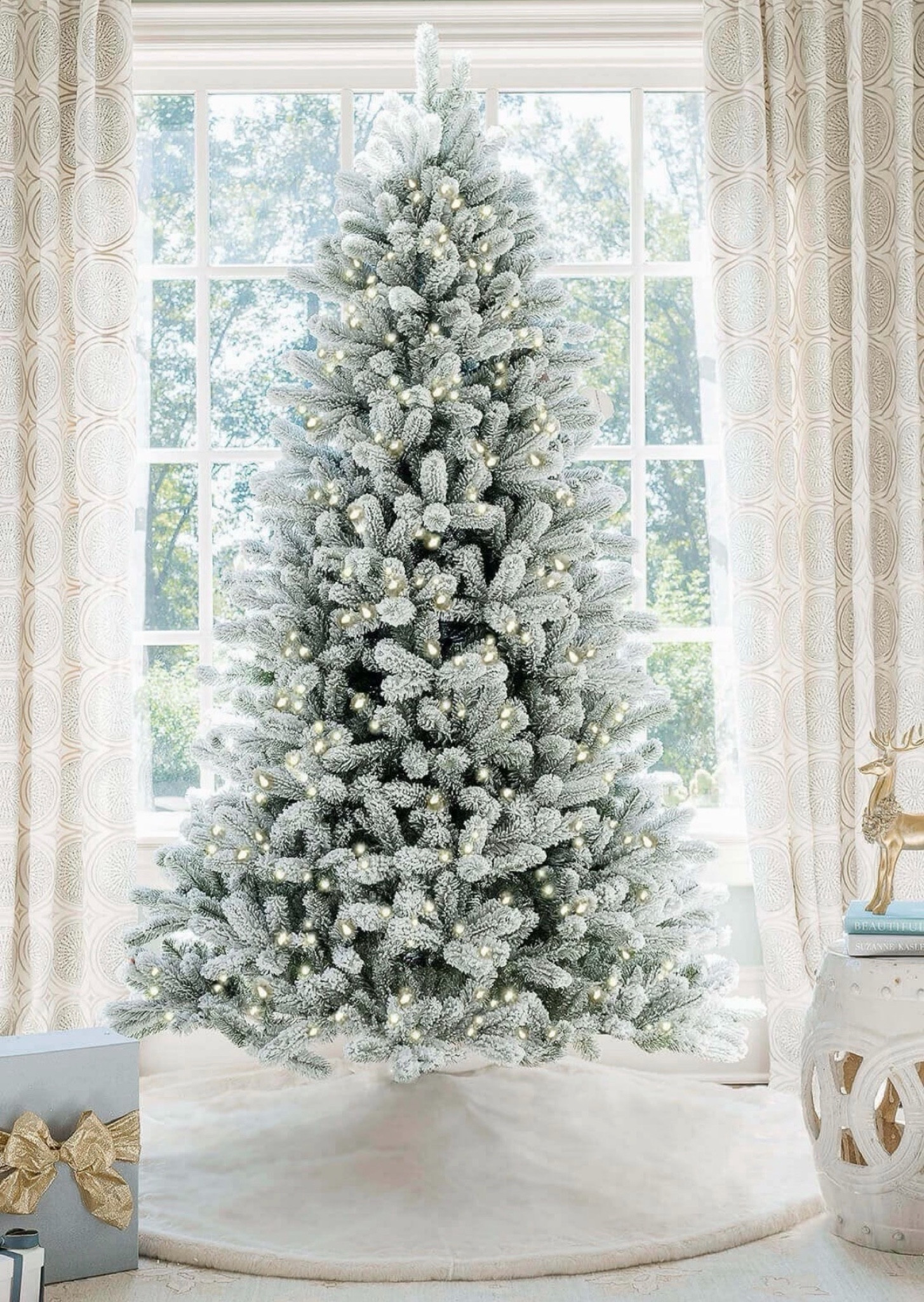 King of Christmas Trees