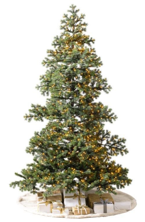 Balsam Hill Yukon Spruce Frosted Tree in Led Micro at Nordstrom, Size 7Ft 6In | Nordstrom