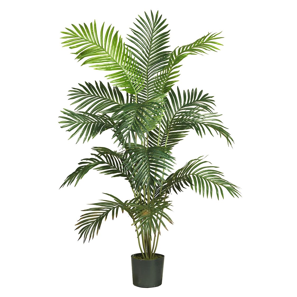 nearly natural 6-ft. Silk Paradise Palm Tree | Kohl's