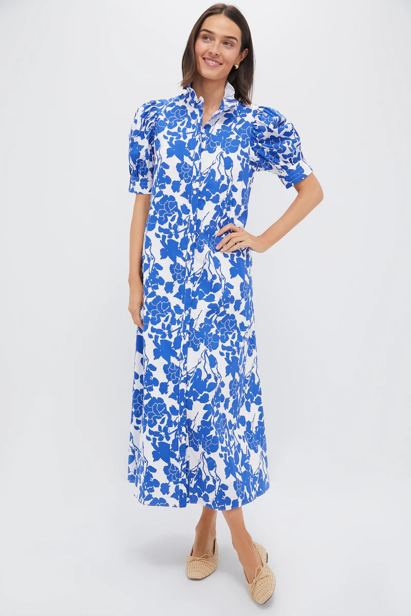 Blue Floral Ruffle Collar Louisa Maxi Dress | Tuckernuck (US)