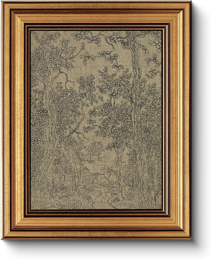 HUARCEY Gold Framed Canvas Wall Art, Antique Sketch Landscape Pictures Vintage Decor, Bedroom Kit... | Amazon (US)