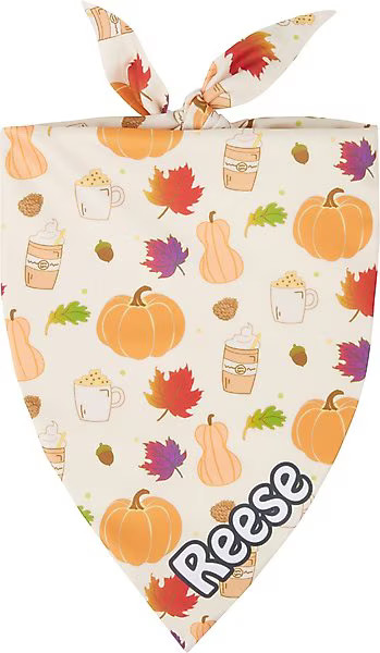 Frisco Pumpkin Spice Personalized Dog & Cat Bandana | Chewy.com