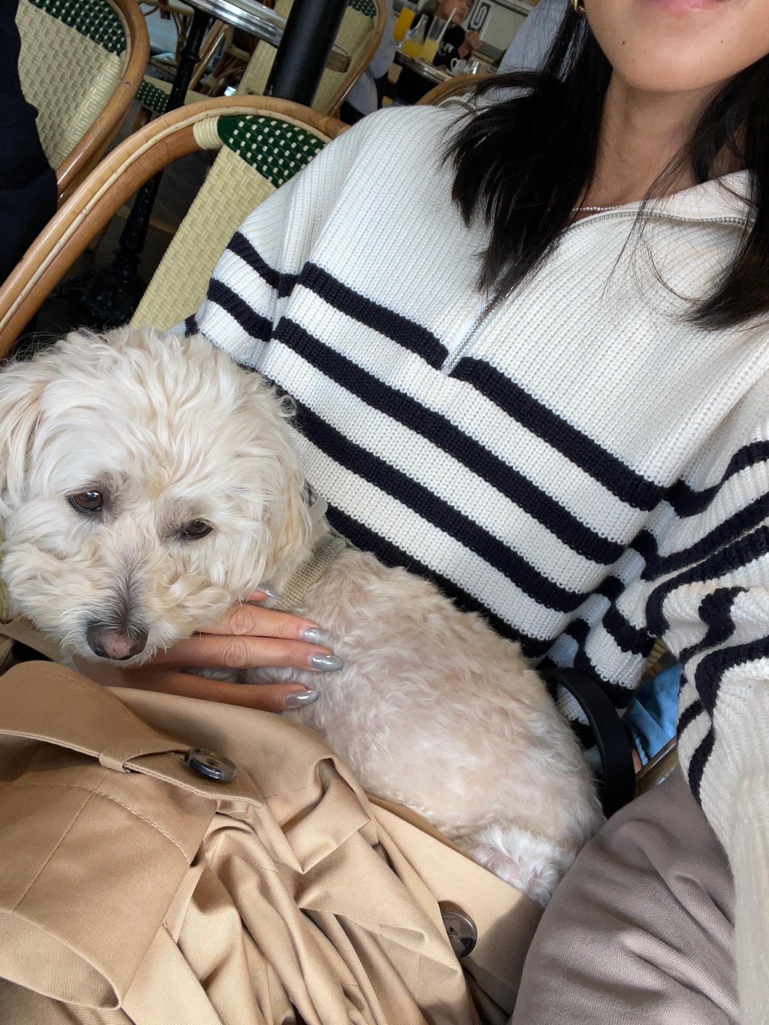 go to striped sweater for fall in europe capsule 🖤 

#LTKtravel #LTKSeasonal #LTKeurope