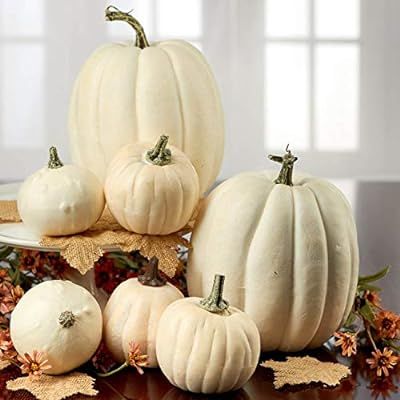 Factory Direct Craft Package of 7 Harvest Off White Artificial Pumpkins Assortment for Halloween,... | Amazon (US)