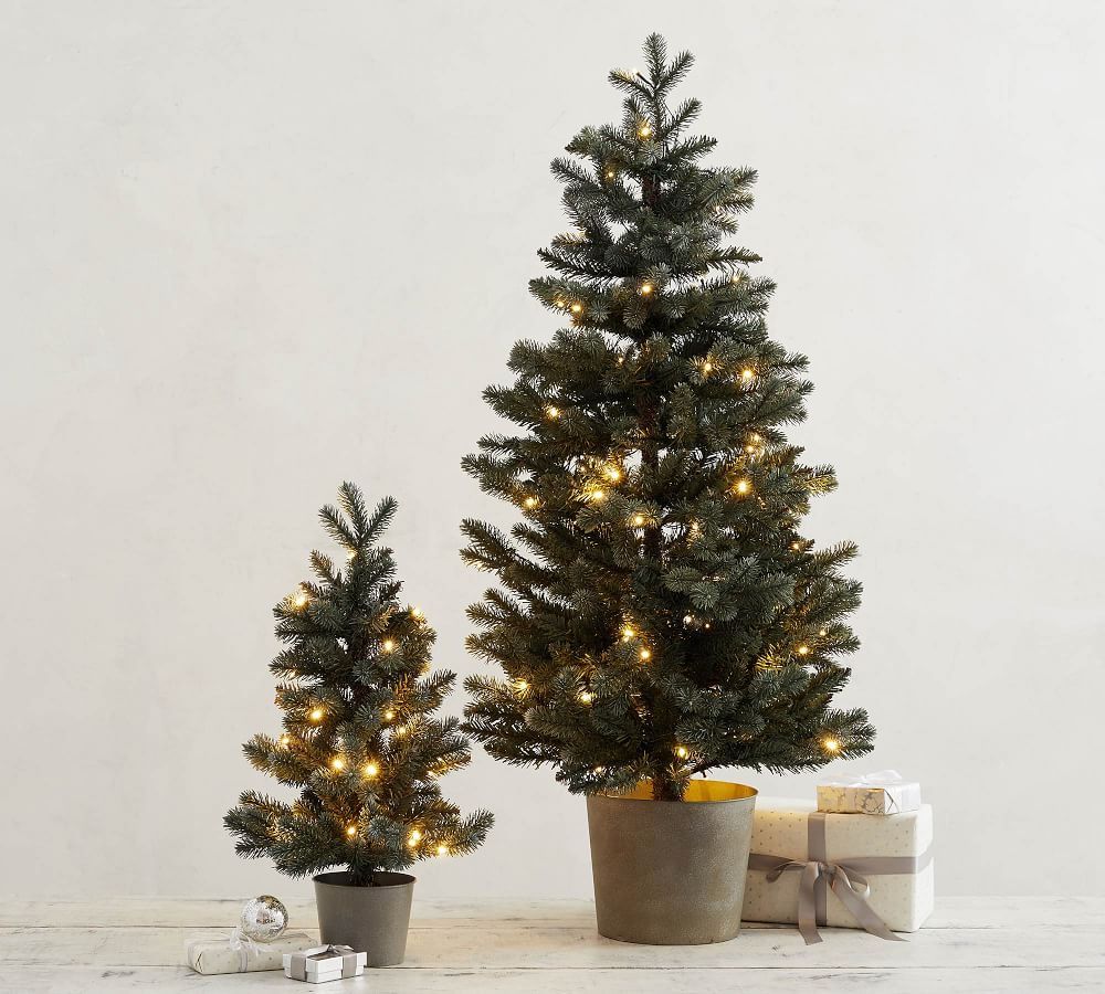 Pre-Lit Potted Faux Blue Spruce Trees | Pottery Barn (US)