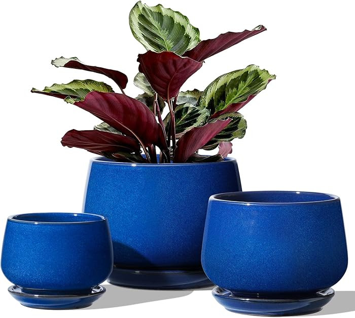 LE TAUCI Plant Pots, 4.1+5.1+6.5 inch, Set of 3, Ceramic Planters with Drainage Hole and Saucer, ... | Amazon (US)