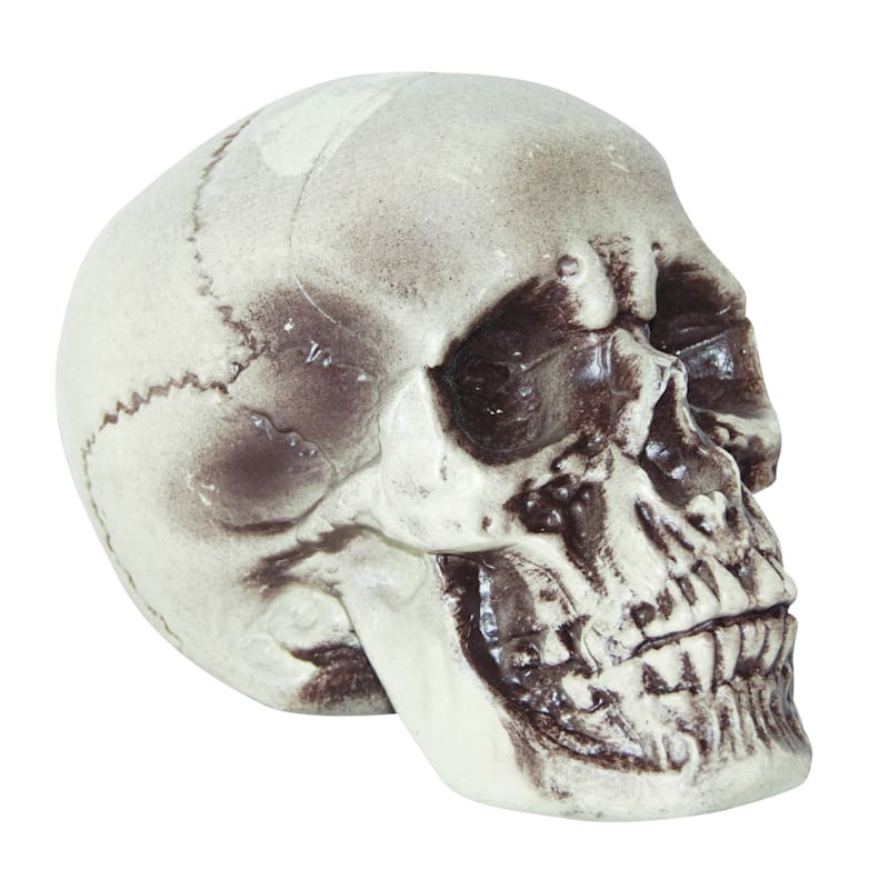 Realistic Foam Halloween Skull, 7" | At Home