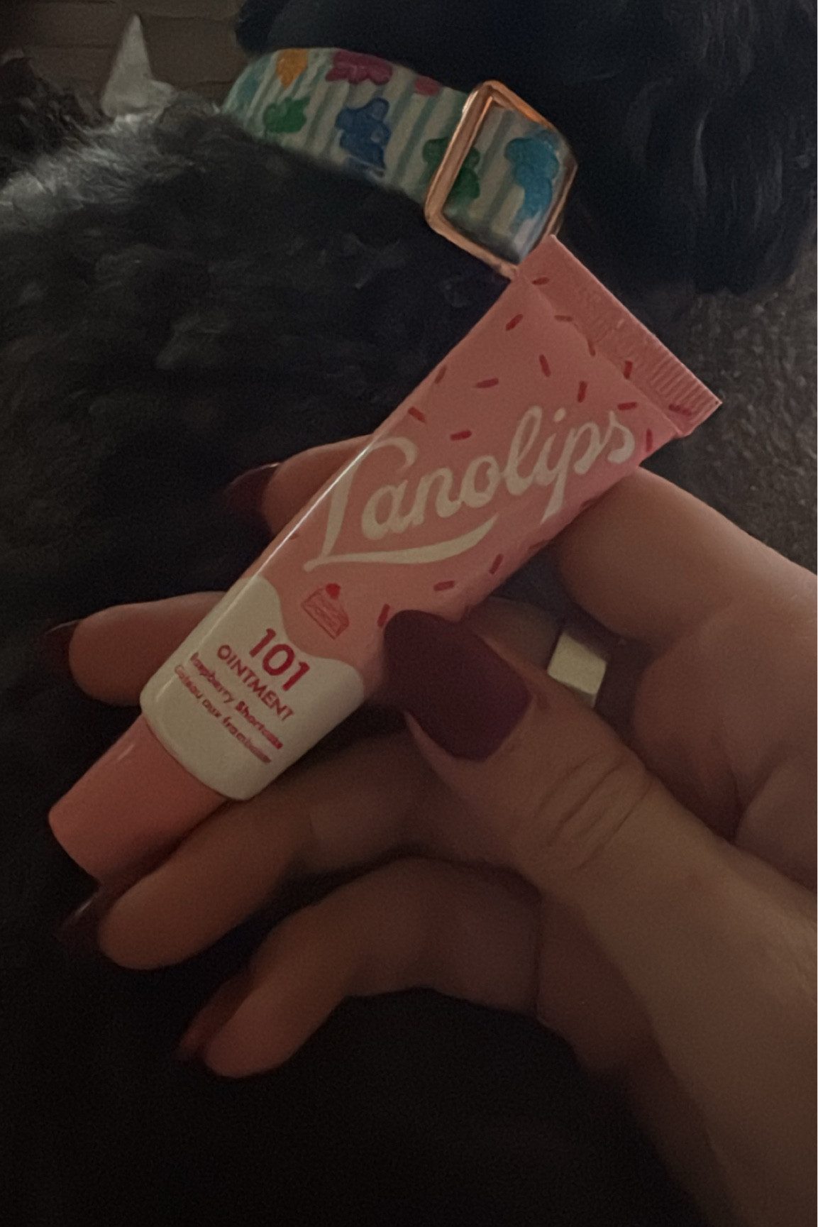 The absolute best ointment for your lips! 👄 I am obsessed with this stuff.  And may or may not have enough of them for each room in the house, my car, my purse, and work bag 🙃 

Great for stocking stuffers! 

#LTKGiftGuide #LTKHoliday #LTKBeauty