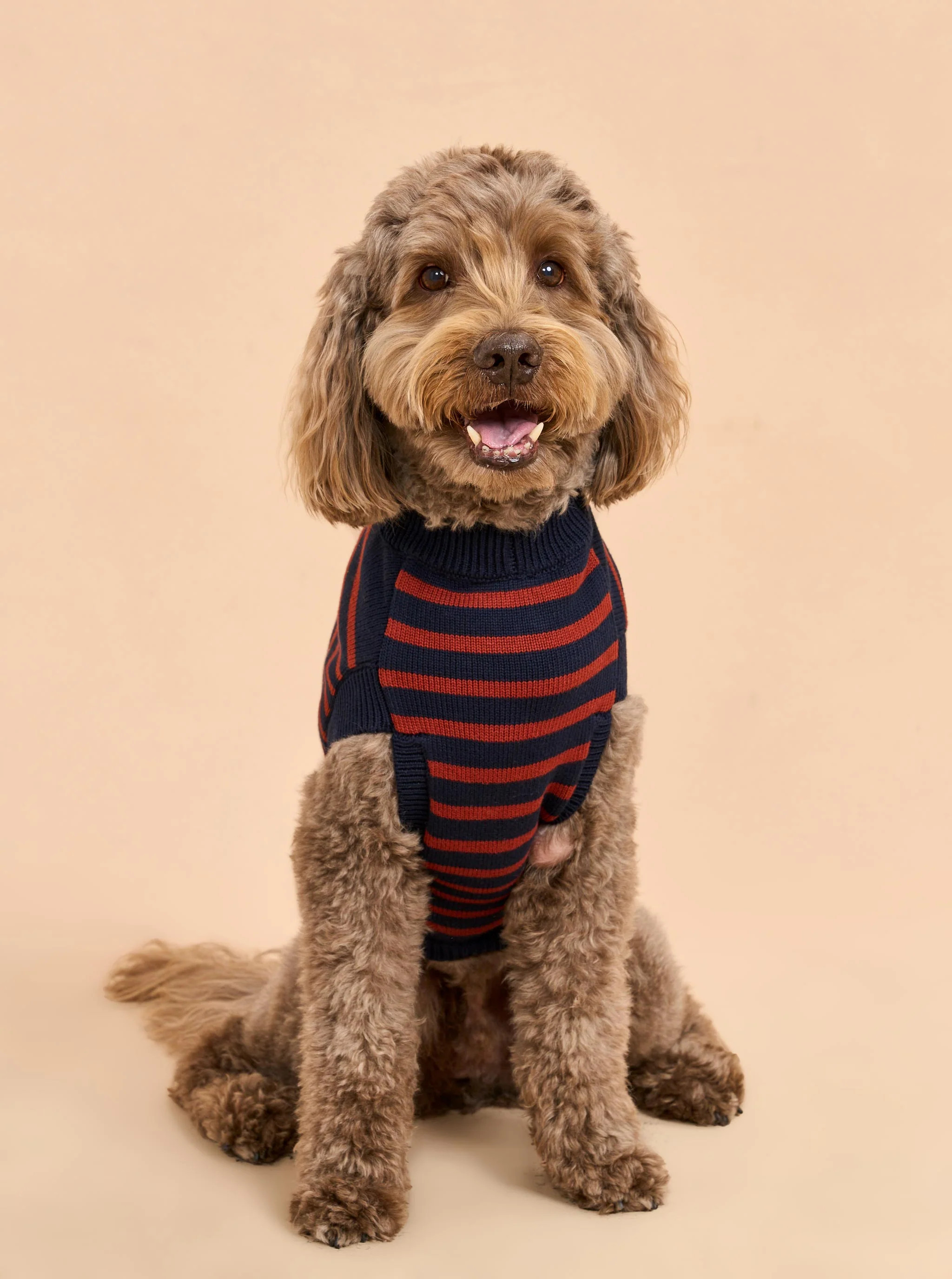 Chien Sweater | La Ligne NYC | La Ligne