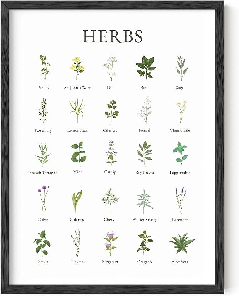 HAUS AND HUES Herb Pictures for Kitchen Wall Art Kitchen Herbs Wall Art and Botanical Prints Herb... | Amazon (US)