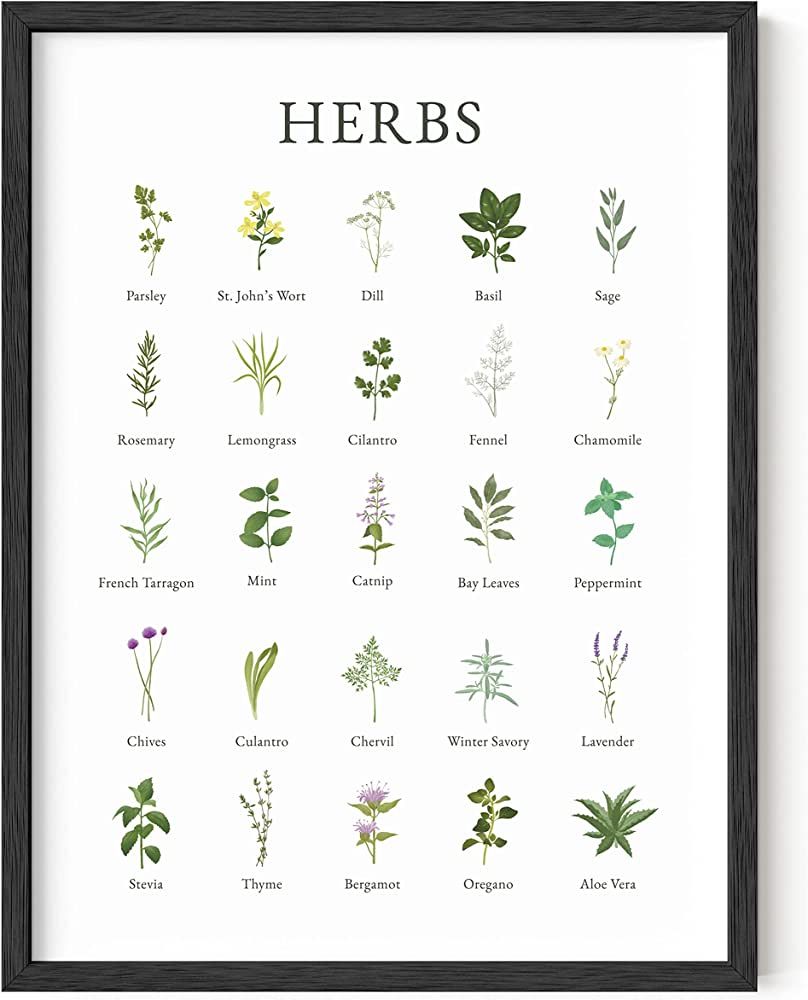 HAUS AND HUES Herb Pictures for Kitchen Wall Art Kitchen Herbs Wall Art and Botanical Prints Herb... | Amazon (US)