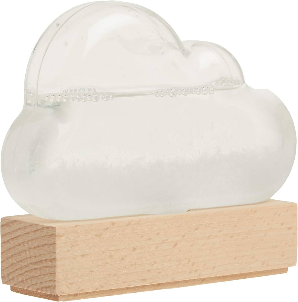 Storm Cloud: A Weather Predicting Instrument | Amazon (US)