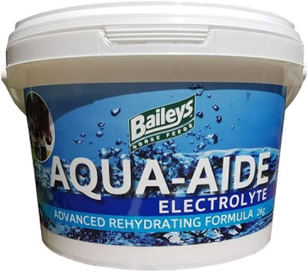 Baileys Aqua-Aide Electrolyte for Horses 2kg - Palatable Powder to Replace Salts Lost Through Swe... | Amazon (UK)