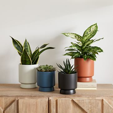 Bishop Ceramic Indoor/Outdoor Tabletop Planters | West Elm (US)