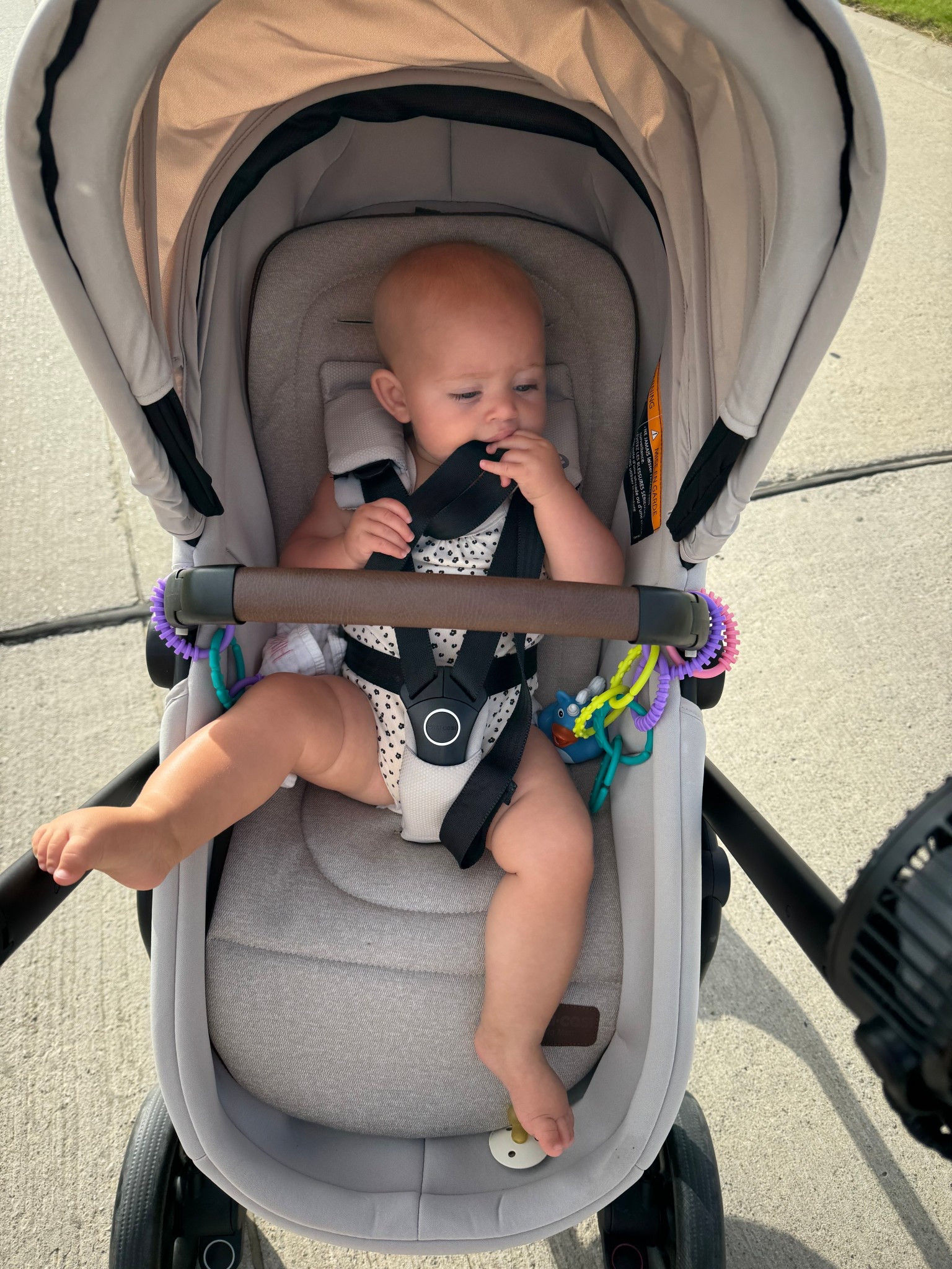 Perfect walking stroller!