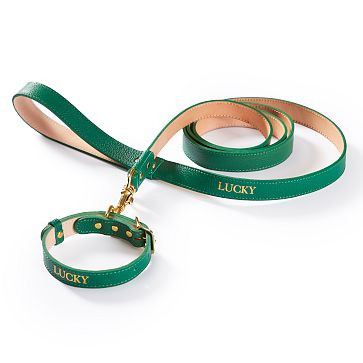 Leather Collar and Leash Set | Mark and Graham | Mark and Graham