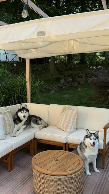 Outdoor sectional patio sofa with a cream canopy shade, the perfect summer lounging setup. Even Benji and Lila approve of the new backyard spot. 

 #LTKSeasonal #LTKHome