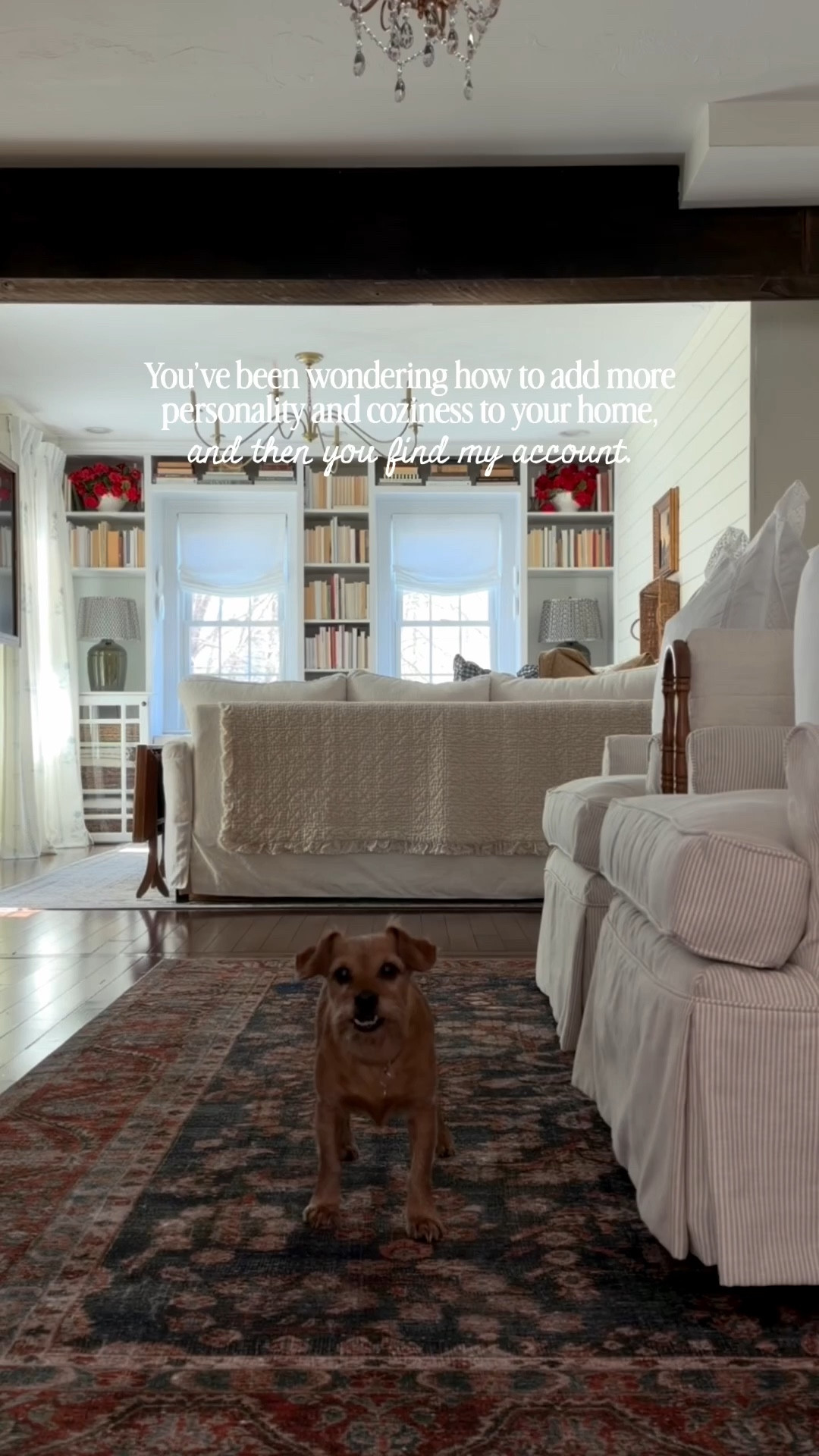 You’ve been wondering how to add more personality and coziness to your home and then you find my account! 

#LTKHome